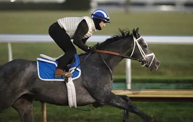 Breeders' Cup Juvenile Fillies: Frizette winner Dotsy withdrawn
