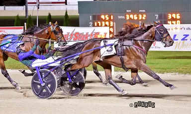 Breeders Crown:  Diabolic Hill delivers in 3-Year-Old Colt Trot final