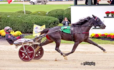 Delaware County Fair:  Rookies duel in Standardbred stakes
