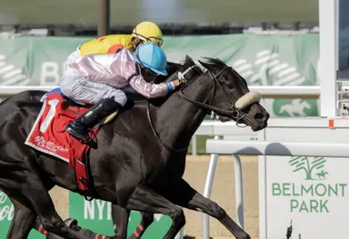 Brickyard Belle gets up in time to win Matron