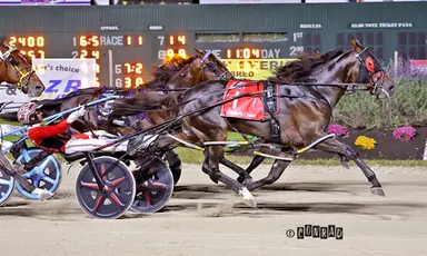 Breeders Crown:  Blazin Lou wouldn't be denied in 2-Year-Old Colt Pace final
