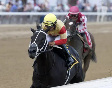 Harper’s Corner flashes speed in Schuylerville