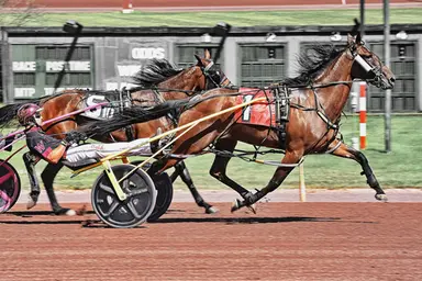 Pocono:  Loua Dipa, Miss Jum Jabber don't disappoint in Pennsylvania Sire Stakes