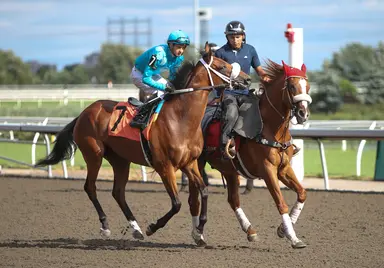 Attard's pair star in featured turf marathon