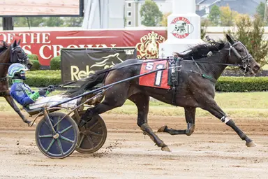 Red Mile:  Emmas Mystery CCL swiftest in Bluegrass Filly Trots