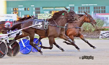 Breeders Crown:  Nezuko Kamado S swiftest in 3YO Filly Trot eliminations