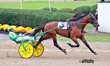 Delaware County Fair:  Big Ranger handles business in Ohio Breeders Championship