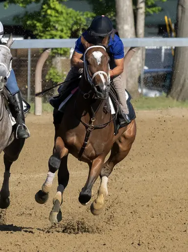 Saratoga 2026: Per usual, juvenile stars look to shine bright at Spa
