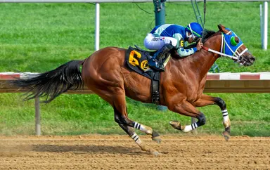 Big Cuddle headed to Haskell