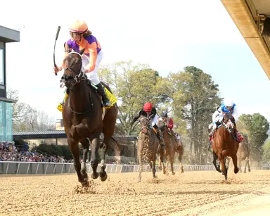 Goodall eyeing Eight Belles for next start