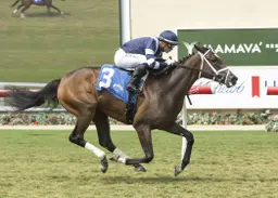 Brad Free's Del Mar Horses to Watch for the week of Aug. 13-16, 2026