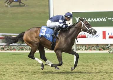 Brad Free's Del Mar Horses to Watch for the week of Aug. 13-16, 2026