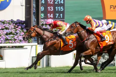 My Wish carries Newnham’s Sha Tin Trophy hopes after Ibis blow