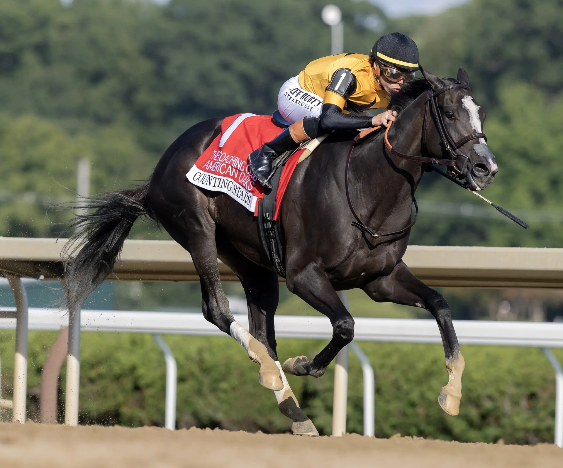 Counting Stars towers over Alabama field as Casse looks to go back to back