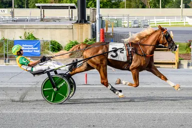 Harrington:  Blazing Tui, Vamoose dazzle in track record performances