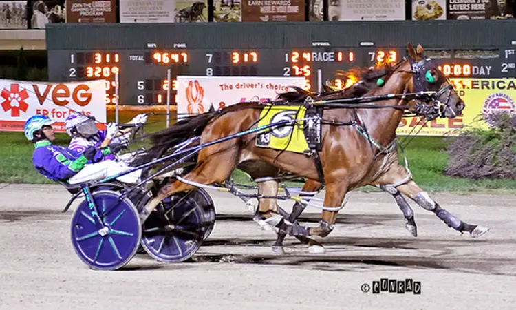 Topville Lucky 7-18-26