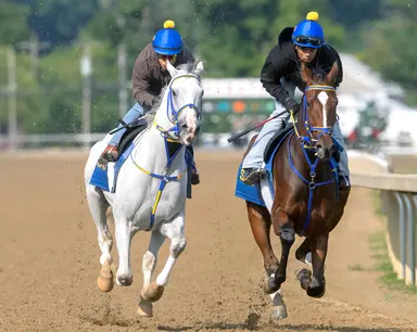 White Abarrio works uneven half-mile