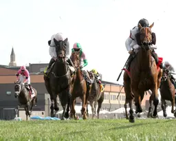 Tiffany takes it to the boys in Turf Cup score