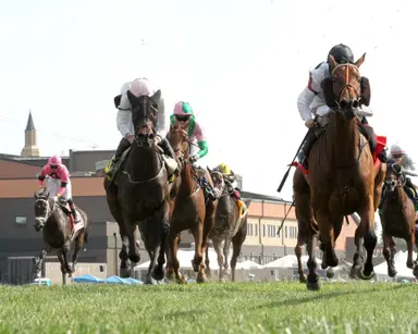 Tiffany takes it to the boys in Turf Cup score