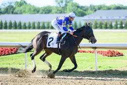 Nerazurri struts class with easy score in Lady Jacqueline