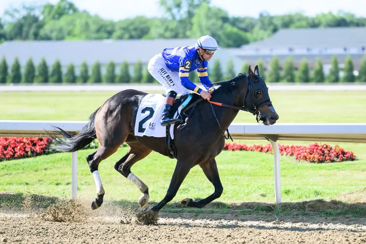 6.20.26.r11.TDN