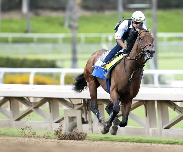 Arabian Knight works at SA Oct 23 2023