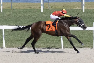 Well-bred End of Romance must overcome slow pace