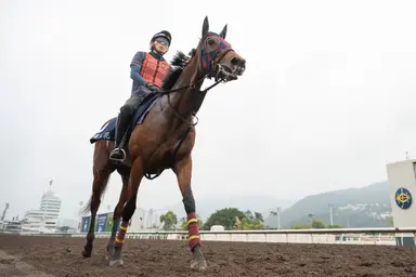 Japan: Embroidery will be hard to handle in Victoria Mile