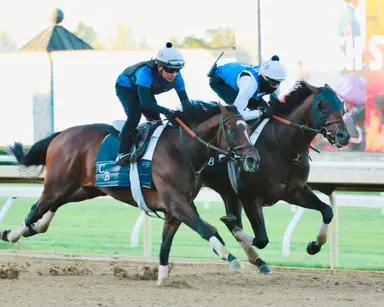 Kentucky Derby: Sierra Leone has first of two planned works