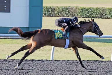 $1 million Maxfield colt tops opening session of OBS March sale