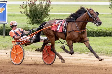 Red Mile:  Wall Of Fame routs her rivals in Kentucky Championship Series