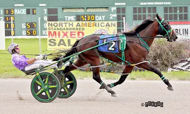 Scioto:  Jett James, Night Surfer tally in Ohio Sires Stakes