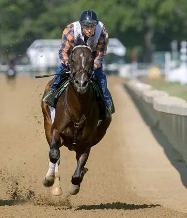 Baeza will have quarter pads in gate for Whitney