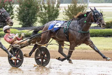 Red Mile:  Hope Hill defeats Miss Jum Jabber again in Glen Garnsey Memorial