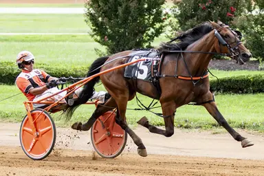 Red Mile:  Wall Of Fame, Seaside Ubeaut rule in Kentucky Championship Series