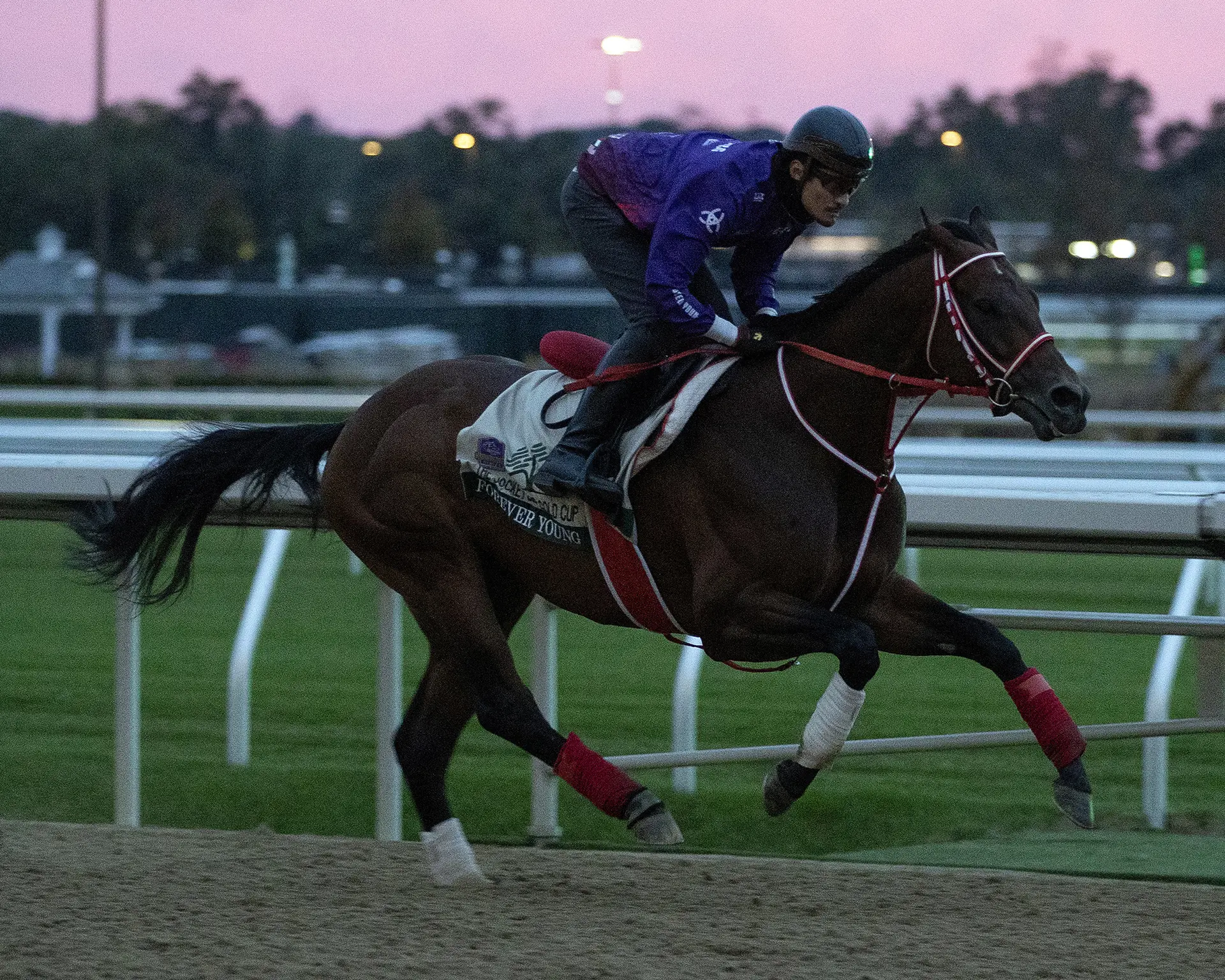 Breeders' Cup Classic: Forever Young, Phileas Fogg, Sovereignty put in works