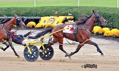 Delaware County Fair:  Loua Dipa delivers in Grade 1 Jugette