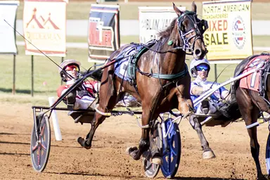 Red Mile:  Hope Hill hauls down Miss Jum Jabber in Bluegrass Filly Pace