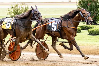 Red Mile:  Wall Of Fame a perfect ten in Bluegrass Stakes