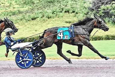 Pocono:  Captain Corey-sired fillies shine in Pennsylvania Sire Stakes