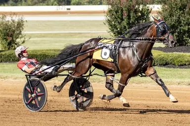 Red Mile:  Seaside Ubeaut, Holy win in Bluegrass Series action