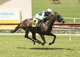 Brad Free's Del Mar Horses to Watch for the week of July 30-Aug. 2, 2026