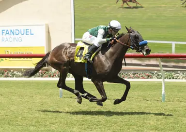 Brad Free's Del Mar Horses to Watch for the week of July 30-Aug. 2, 2026