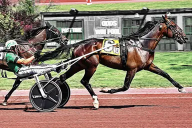 Pocono:  Nordic Catcher S sharp in return from injury