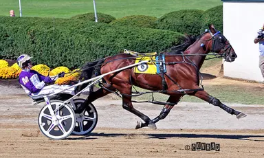 Delaware County Fair:  Tsunami Seas washes away foes in Ohio Breeders Championship