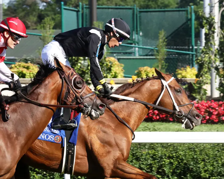 LAGYNOS - The Arlington Stakes G3 - 05-30-26 - R11 - Churchill Downs - Celebration 01 - Pumita Rodriguez.jpg