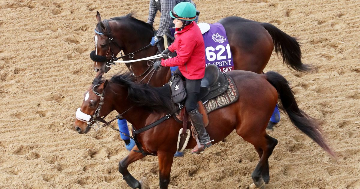 Breeders' Cup Turf Sprint: Sorrento Sky looking to pay back supplement