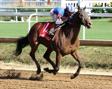 Plutarch makes statement with powerful Bourbon Flight victory