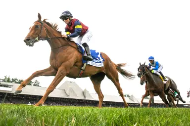Del Mar Oaks contenders coming off vastly different performances