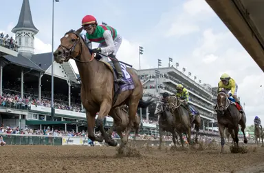 Keeneland November sale spans the marketplace